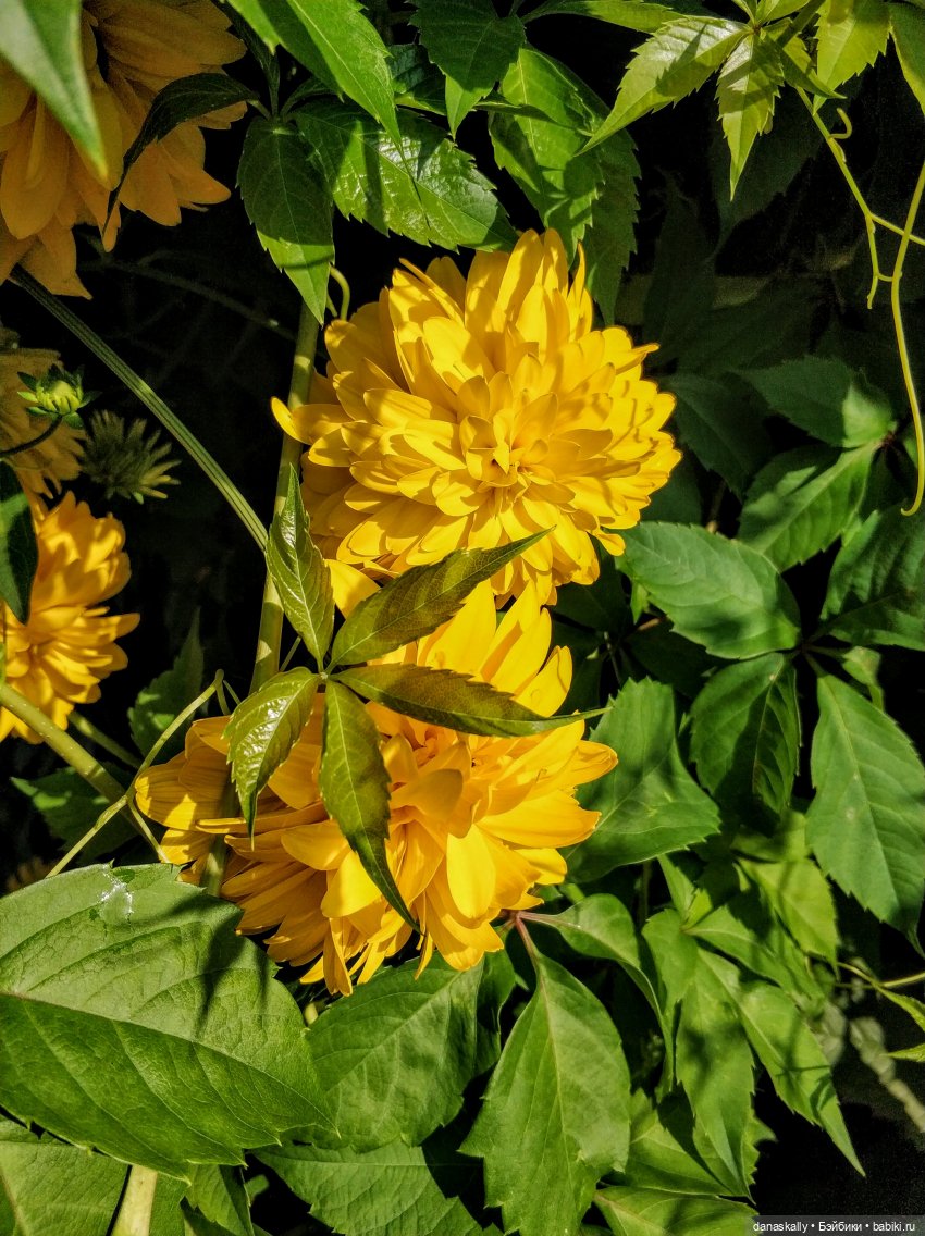 Как мы лето провожали. Время Зорро. Явление героя (фото 4)