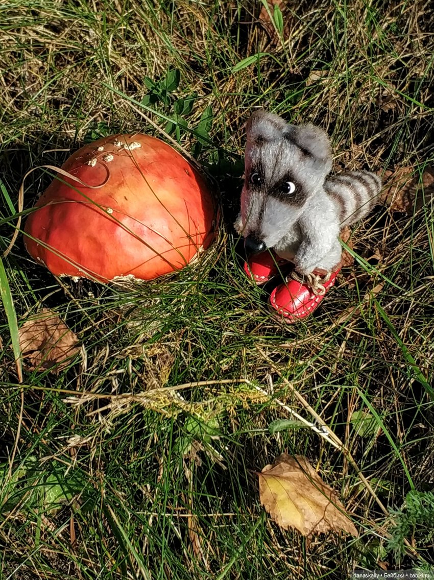 Как мы лето провожали. Время Зорро. Явление героя