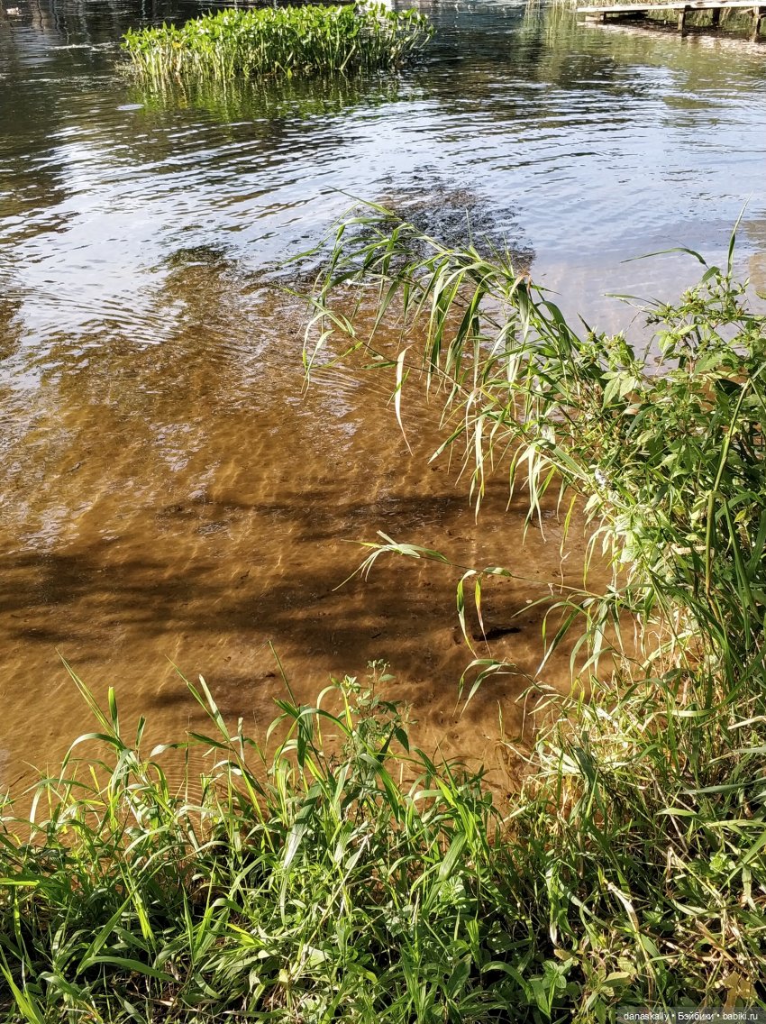Как мы лето провожали. Время Зорро. Явление героя