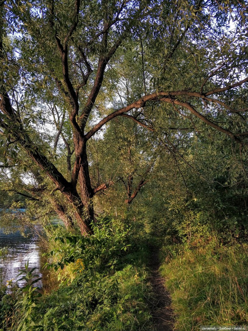 Как мы лето провожали. Время Зорро. Явление героя