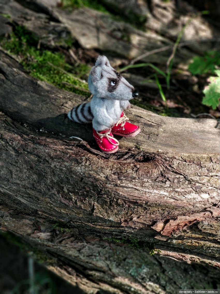 Как мы лето провожали. Время Зорро. Явление героя