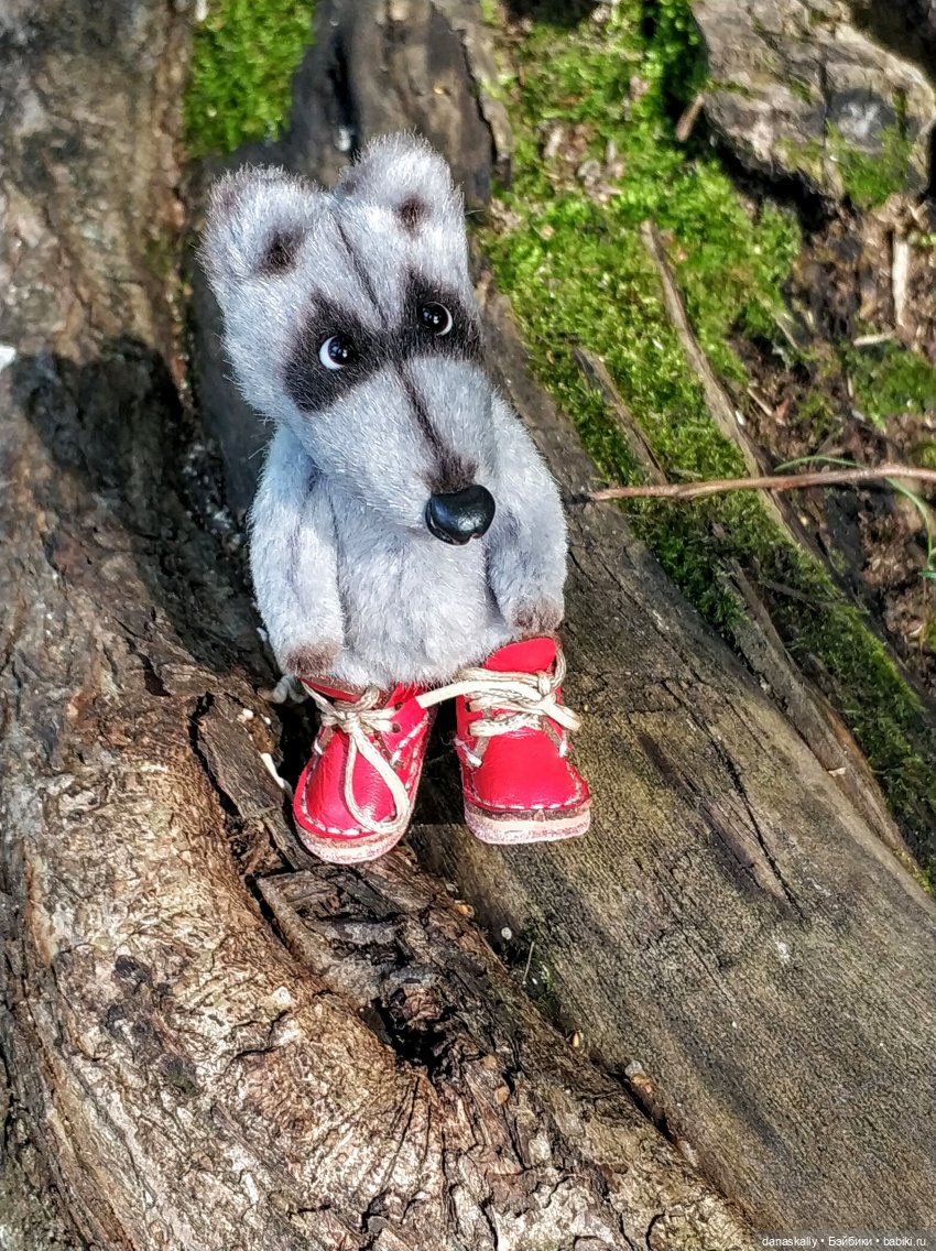 Как мы лето провожали. Время Зорро. Явление героя