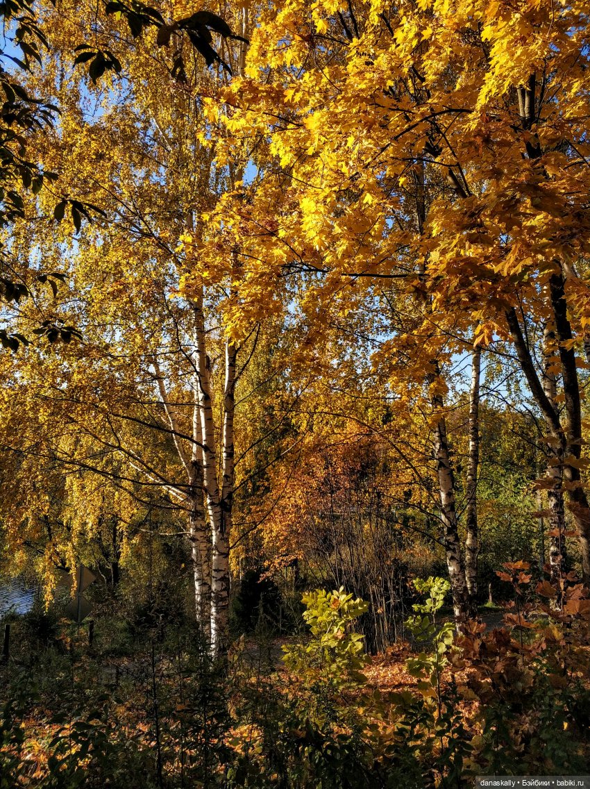 6 лет на Бэйбиках. Моя последняя кукла (фото 6)