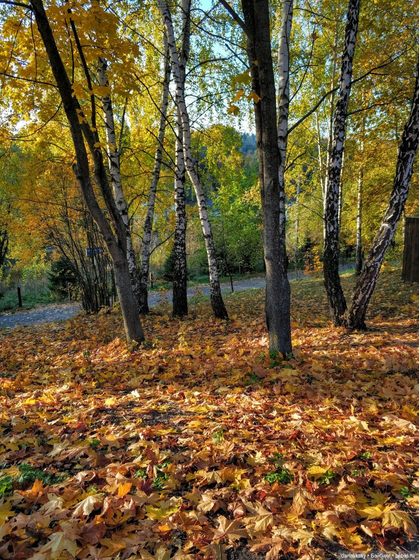 6 лет на Бэйбиках. Моя последняя кукла (фото 8)