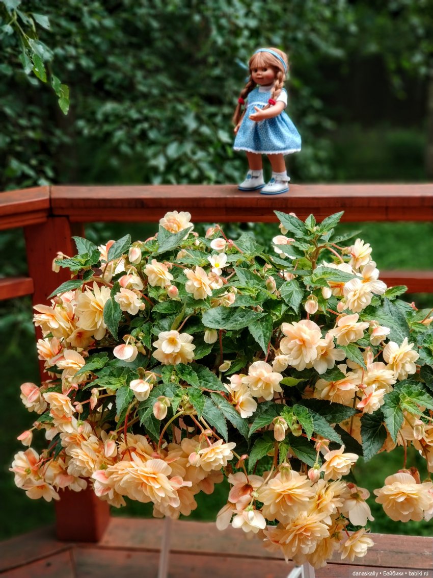 Грета и её друзья. Серия " Little Ones " Хайди Отт