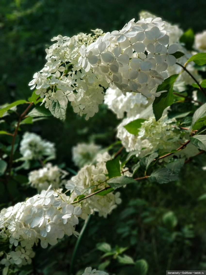 Грета и её друзья. Серия " Little Ones " Хайди Отт