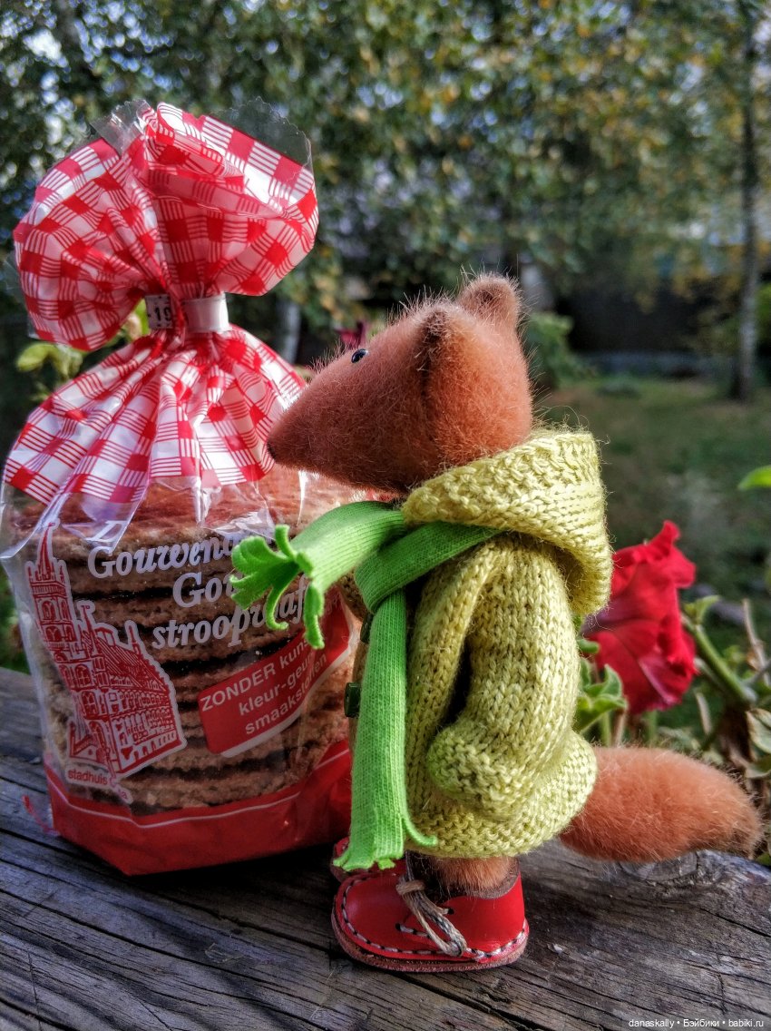 Мой чудесный , мой волшебный рыжий, рыжий Белый шар! Часть первая Вена (фото 7)