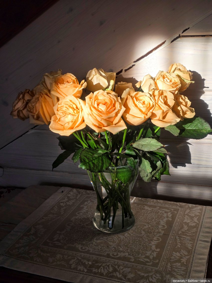 Мой чудесный , мой волшебный рыжий, рыжий Белый шар Люк, Париж и Дублин. Часть 2 (фото 10)