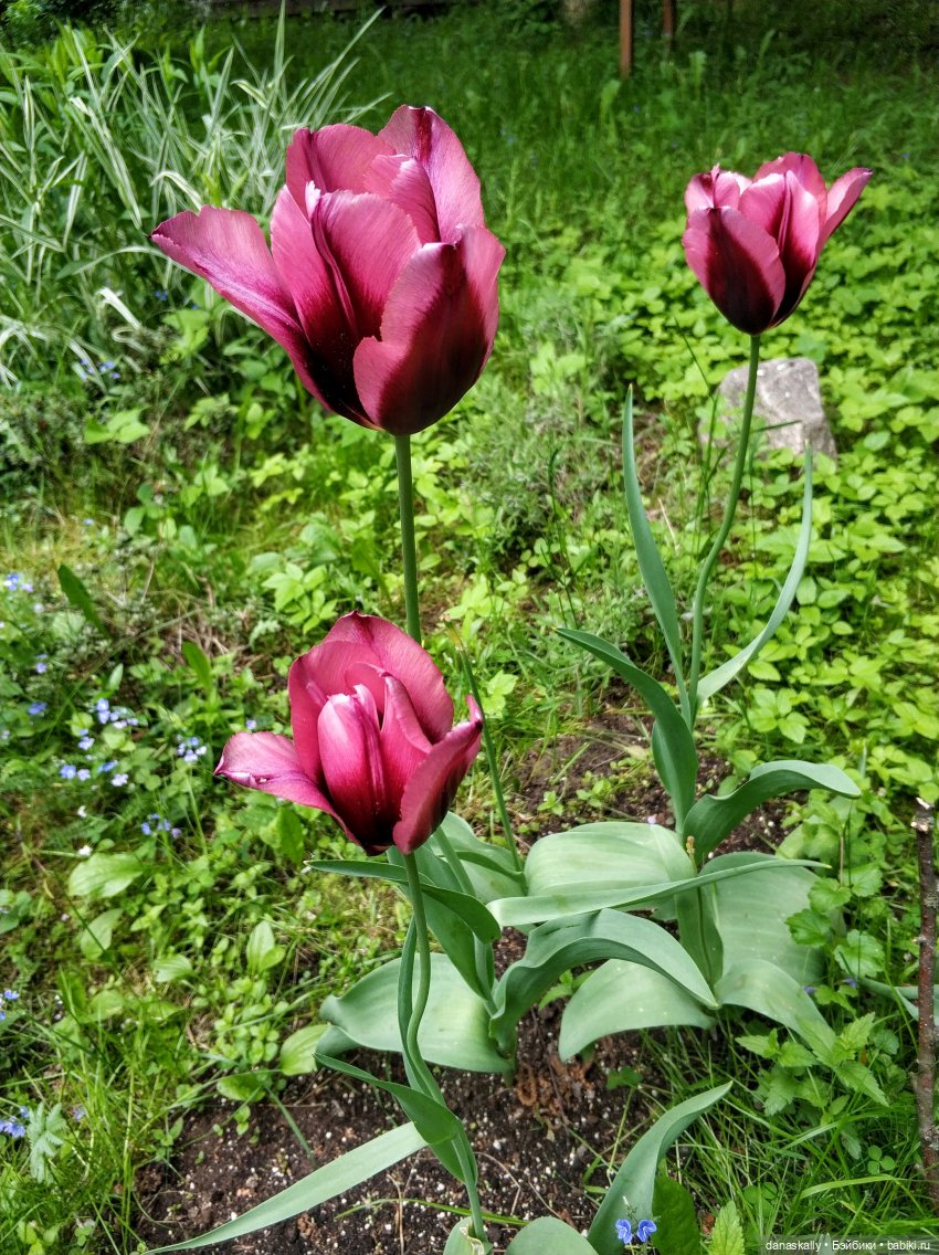 Катерина в поисках себя Серия The Little Ones от Хайди Отт