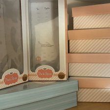 Коробки от кукол