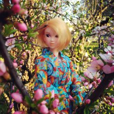 Hanami или Любование сакурой с momoko doll