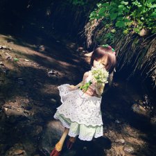 Олени переходят реку. BJD 5stardoll