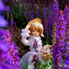 Salvia Forest или Оттенки сиреневого. BJD 5stardoll