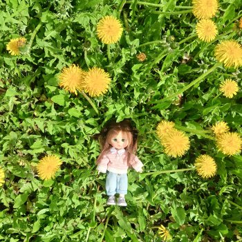 Кажется и я стала жертвой обитсу11
