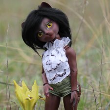 Весна в степи