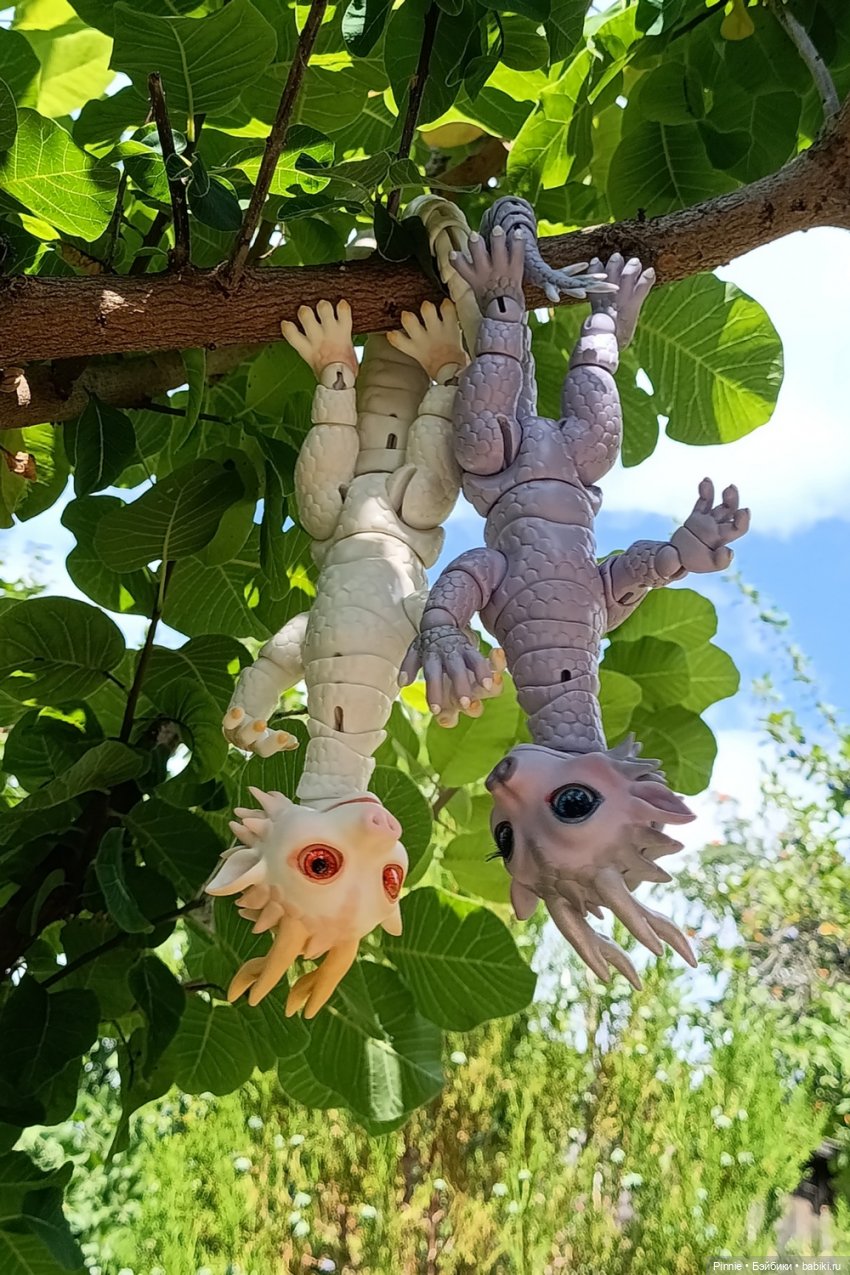 Я опоссум!...