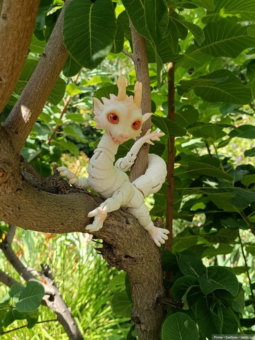 вот какой я ловкий!