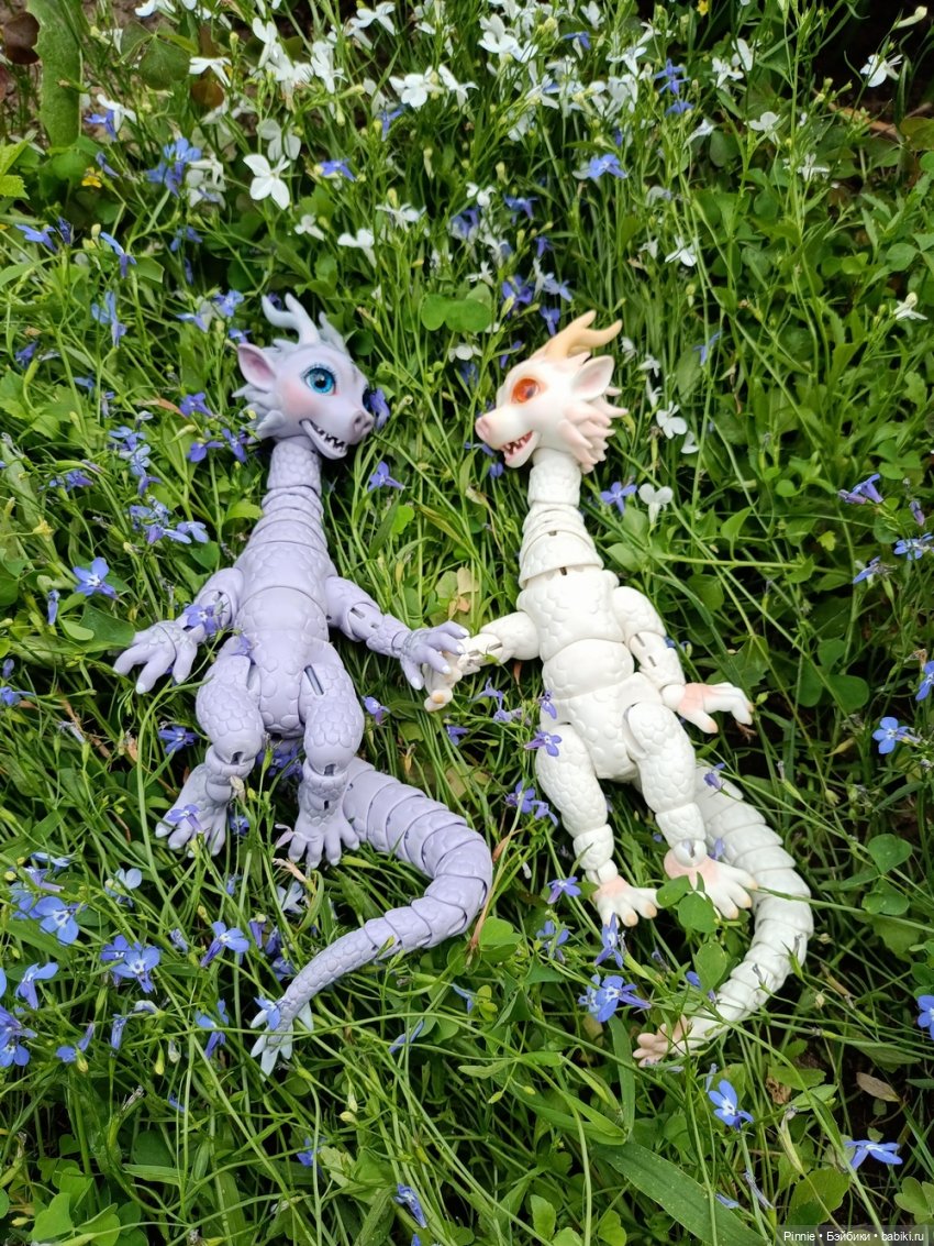 почти альпийский луг