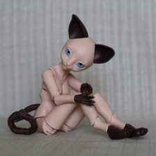 Сиамская кошечка Джорджиана
