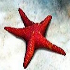 Море, море, мир бездонный