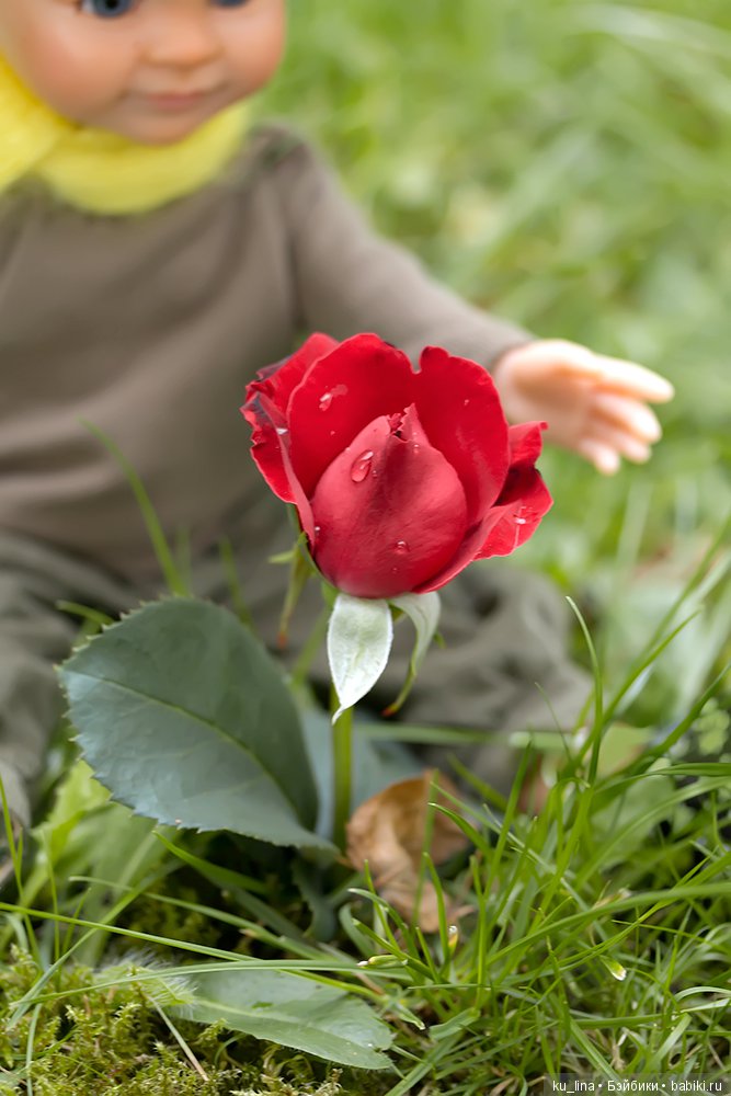 Зорко одно лишь сердце. Самого главного глазами не увидишь (фото 6)