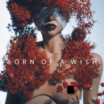 Born of a Wish (Dollshecraft Diana)