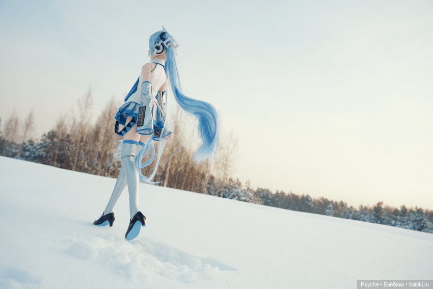 Snow Miku — Куклы Volks (Волкс): Super Dollfie (SD) и Dollfie Dream (DD) (фото 4)