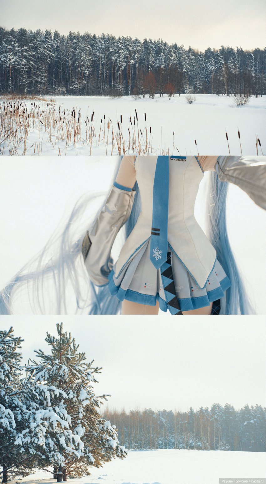 Snow Miku — Куклы Volks (Волкс): Super Dollfie (SD) и Dollfie Dream (DD) (фото 5)
