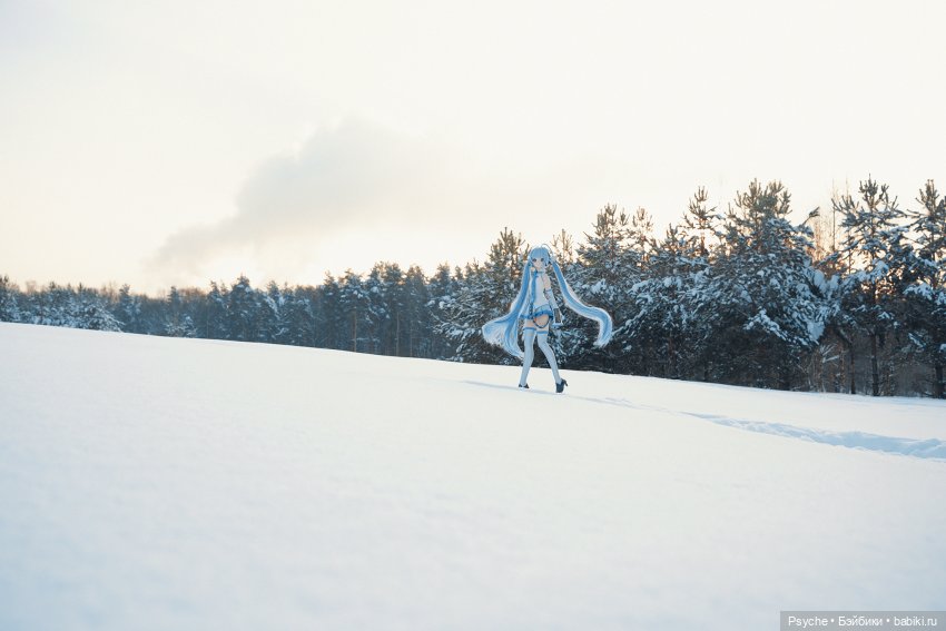 Snow Miku — Куклы Volks (Волкс): Super Dollfie (SD) и Dollfie Dream (DD) (фото 6)