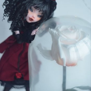 Лолита Шипов и Роз