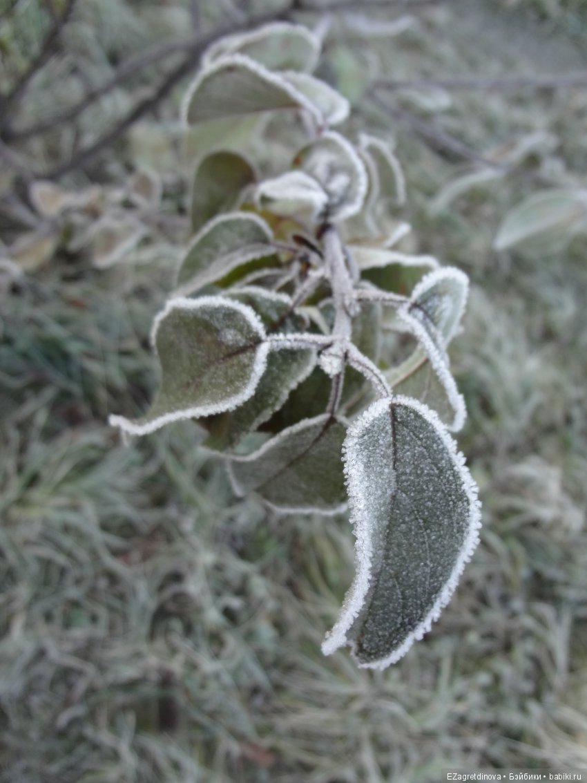 Это снято сегодня утром.