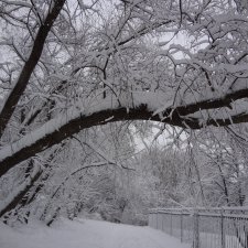 Красота, которой хочется делиться