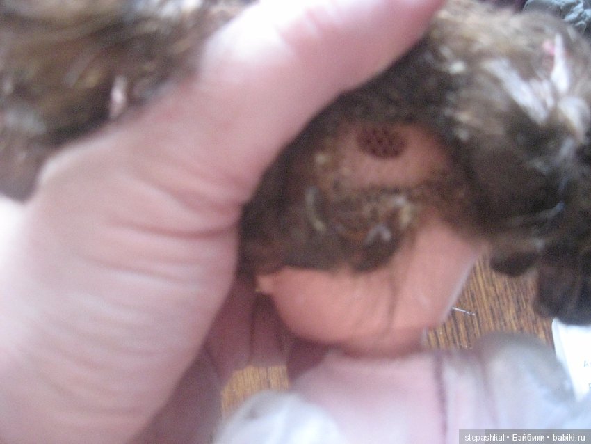 Новая жизнь маленькой незнакомки (фото 4)