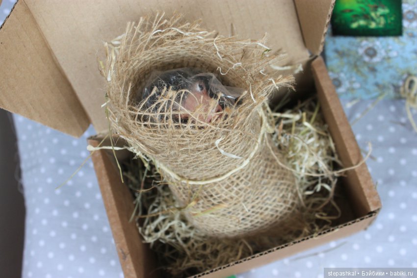 Нюхлер в нашем доме — Домашние фото авторских игрушек: Тедди (фото 3)