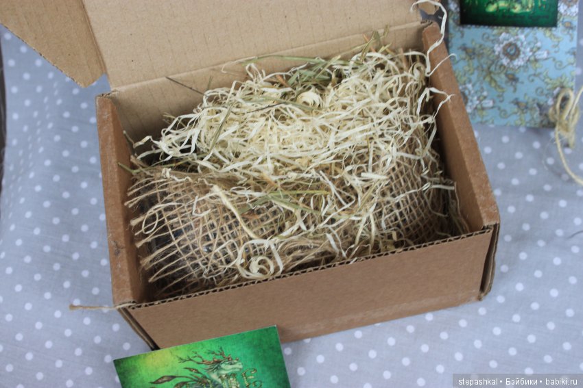 Нюхлер в нашем доме — Домашние фото авторских игрушек: Тедди (фото 2)