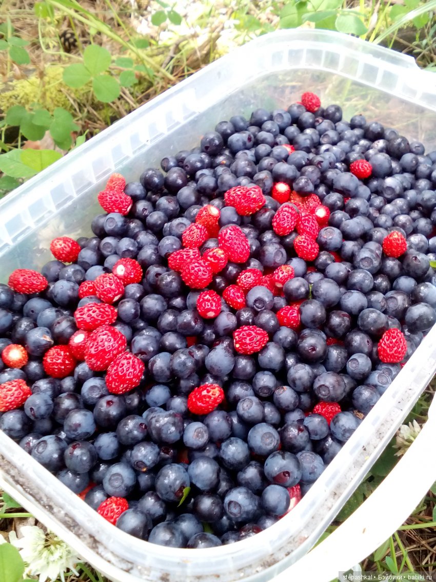 Ягодное настроение — Куклы Galoob Baby Face (Фейсинки): винтаж 90