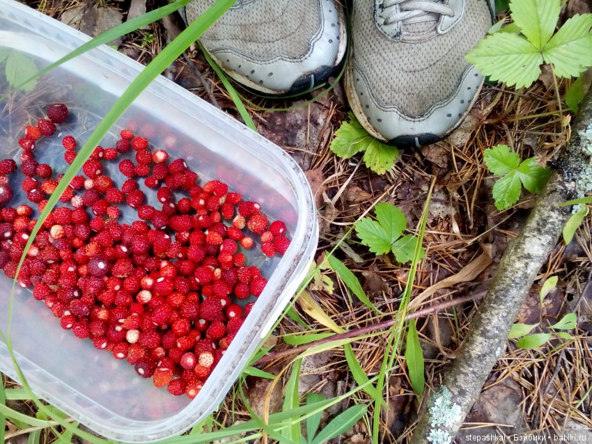 Ягодное настроение — Куклы Galoob Baby Face (Фейсинки): винтаж 90