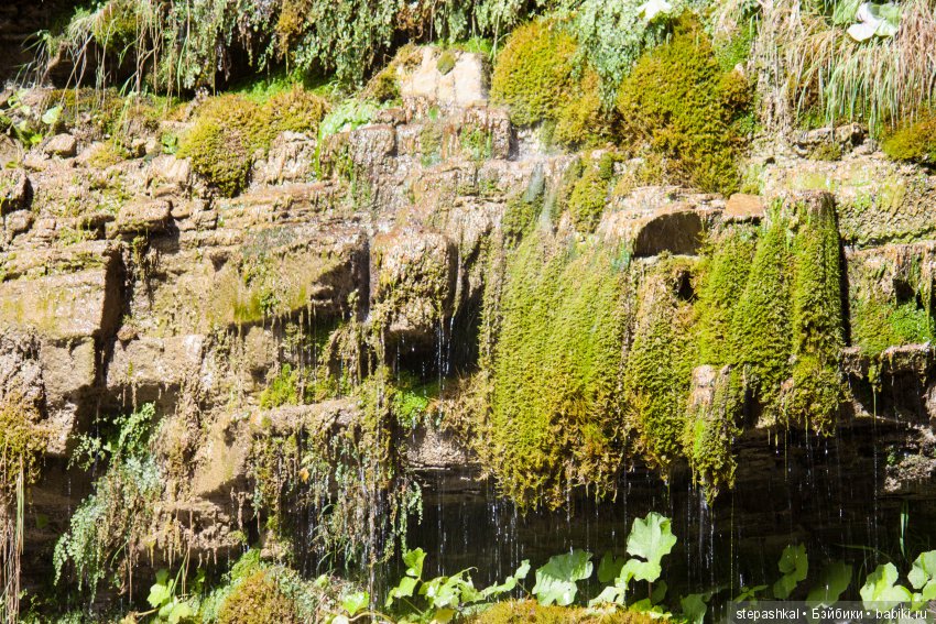 Канадцы на Черном море...Leneda, Lou-Lou, Liang