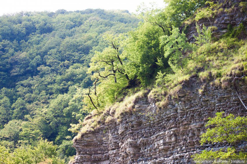 Канадцы на Черном море...Leneda, Lou-Lou, Liang