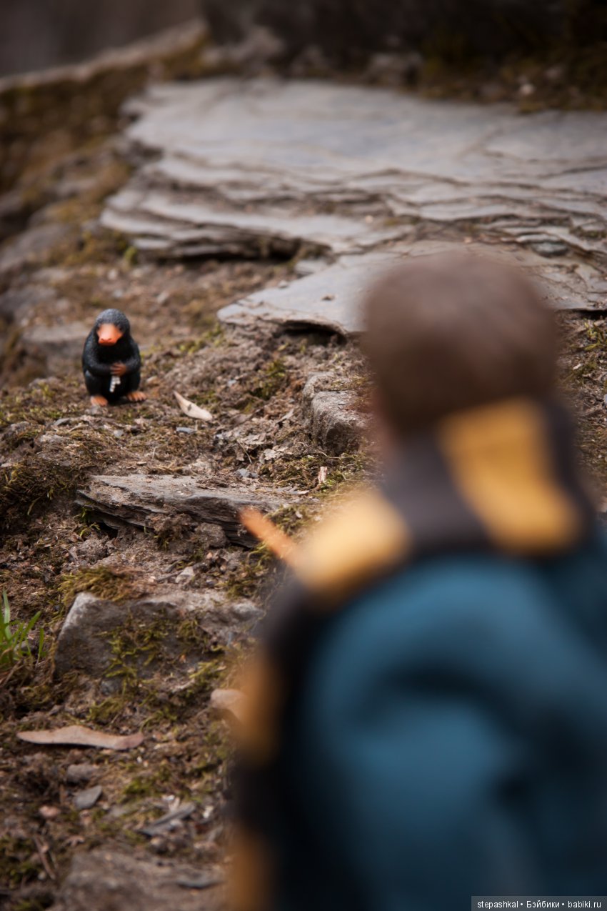 Не может быть!!! Итоги конкурсов (фото 10)