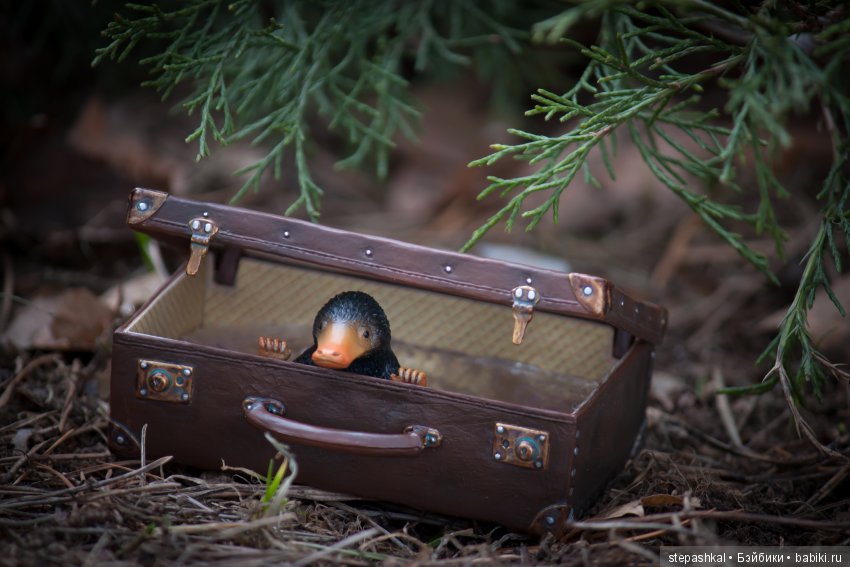 Не может быть!!! Итоги конкурсов (фото 5)