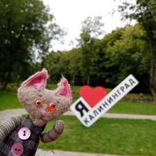 Кенигсберг глазами потомка прусских котов