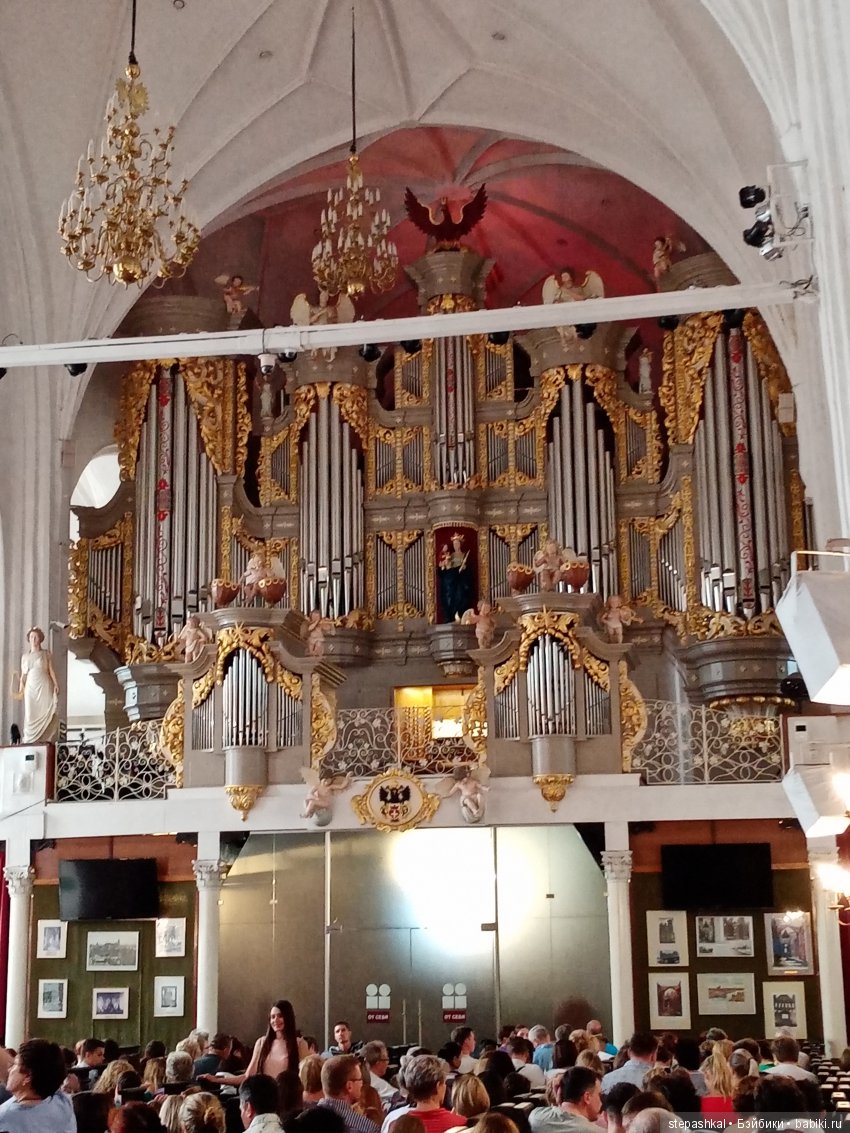 Кенигсберг глазами потомка прусских котов