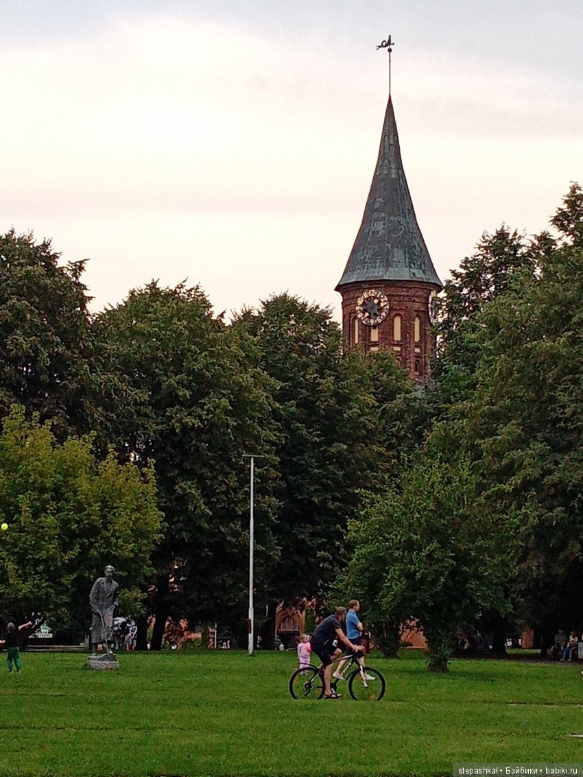 Кенигсберг глазами потомка прусских котов