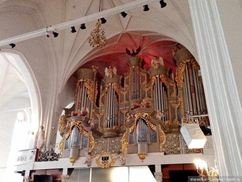 Кенигсберг глазами потомка прусских котов