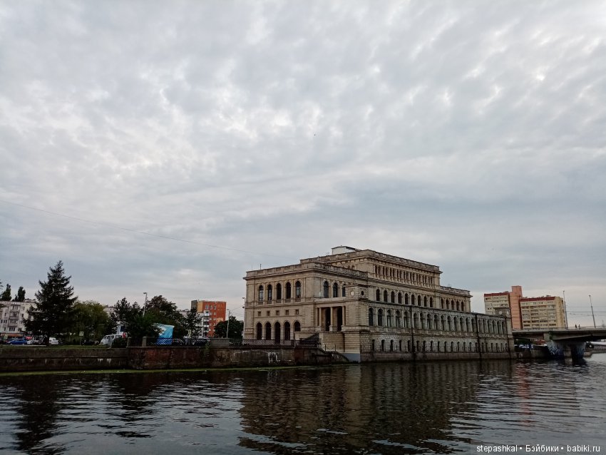 Кенигсберг глазами потомка прусских котов