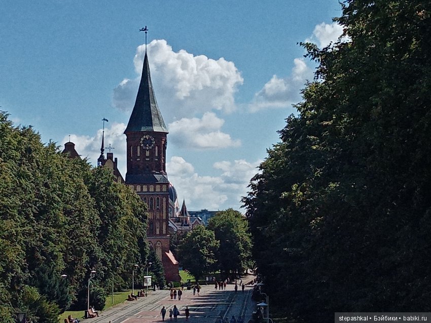 Кенигсберг глазами потомка прусских котов