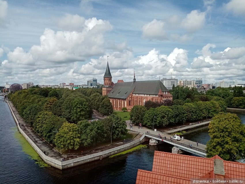 Кенигсберг глазами потомка прусских котов