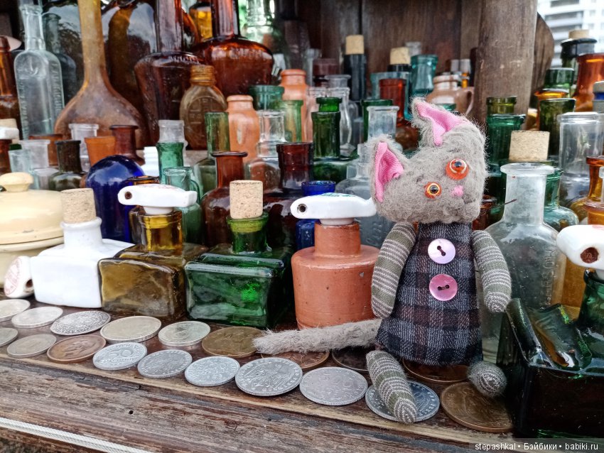 Кенигсберг глазами потомка прусских котов