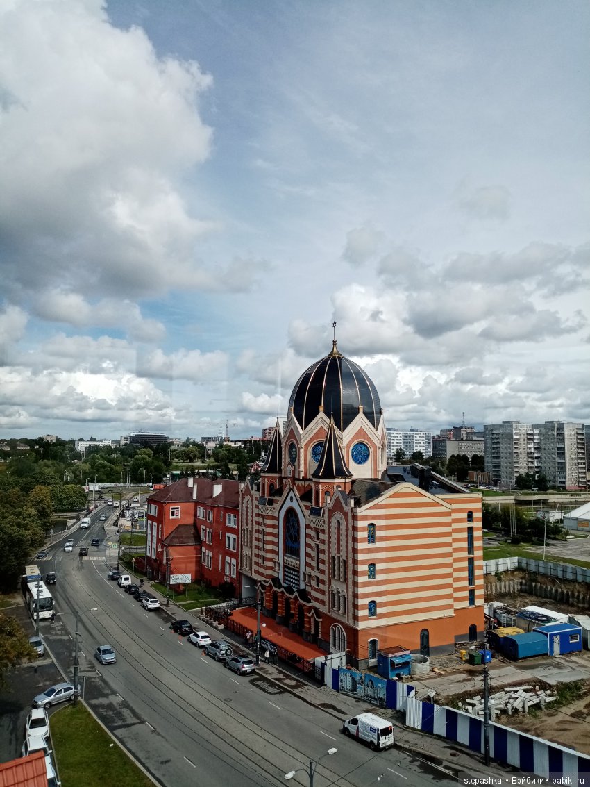 Кенигсберг глазами потомка прусских котов